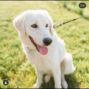 Meet your Posher, Lydia